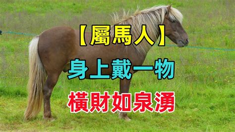 屬馬的人|屬馬，屬馬性格，屬馬婚配，屬馬運程